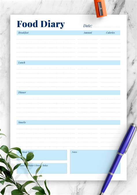 printable daily food diary template