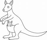 Kangaroo Clip Clipart Outline Line Colorable Drawing Transparent Coloring Getdrawings Sweetclipart sketch template