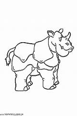 Rinocerontes sketch template