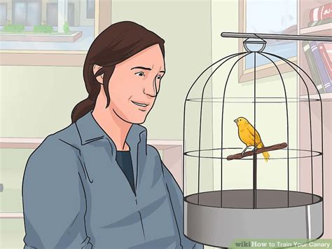 How To Train Your Canary 11 Steps With Pictures Wikihow