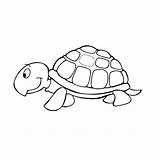Schildpadden Kleurplaat Kleurplaten sketch template