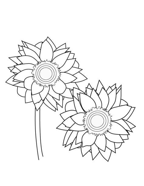printable sunflower coloring pages  kids