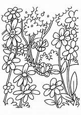 Flowers Coloring Pages Blooming Printable Beautiful sketch template