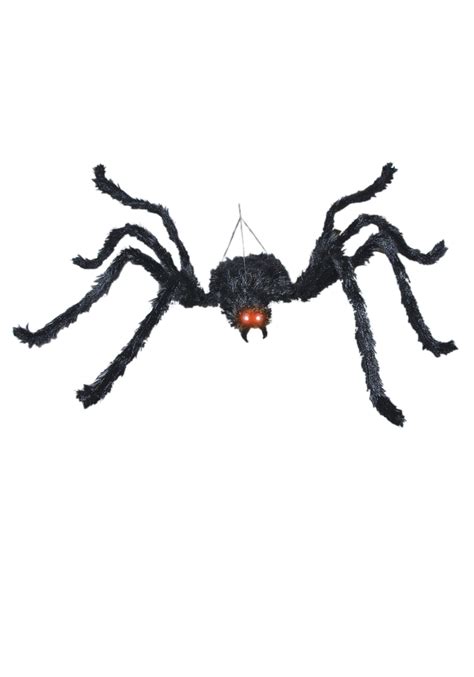 animated pictures  spiders   animated pictures