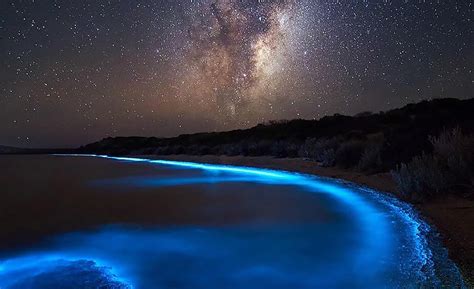 8 bioluminescent bays and beaches that ll leave you spellbound zafigo