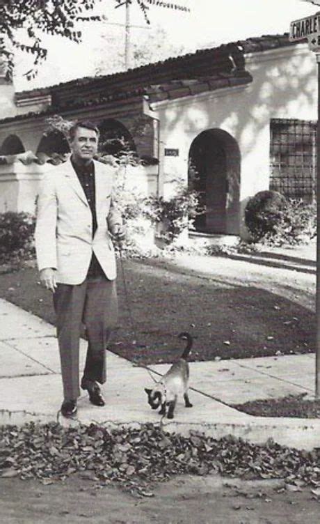 cary grant walking  siamese cat  beverly hills history