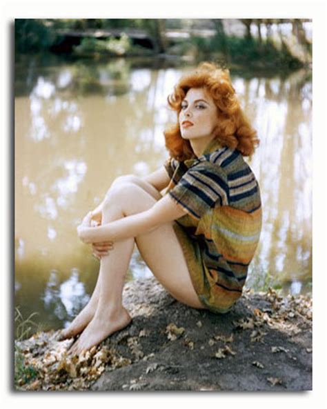 ss2337166 movie picture of tina louise buy celebrity photos and