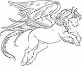 Pegasus Coloring Pages Adults Colouring Baby Adult Printable Print Color Kids Getdrawings Getcolorings Winsome Pegas Colorings Popular Coloringhome sketch template