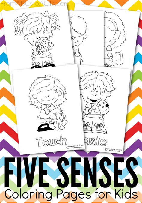 senses printable coloring pages  abcs  acts
