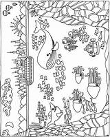 Coloring Pages Sea Summer Doverpublications Under Dover Publications Book Adult Adults Welcome Sheets Colouring Books Printable sketch template