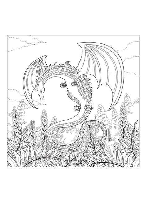 dragon coloring pages   thousands  pictures