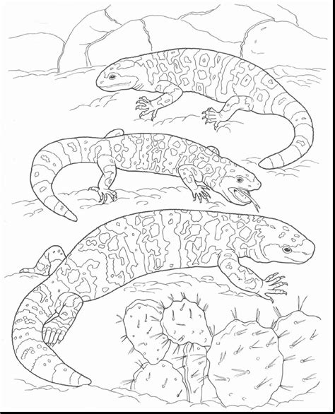 desert life coloring page coloring pages