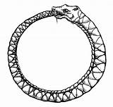 Ouroboros Snake Eating Itself Drawing Circle Serpent Its Mouth Gif Bour3 Clipart Clip Name Uroboros Biting Dragon Devouring sketch template