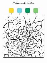 Zahlen Ausmalen Tulpen Vorlagen Malvorlage Kinder Ausmalbilder Kindergarten Kostenlose Malvorlagen Biene Zahl Drucken Felder Familie Tulpe Arbeitsblatt Mathe Frühling Vorschule sketch template