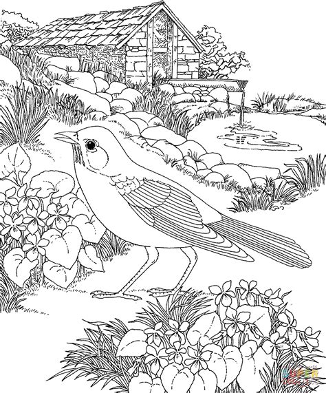 robin walks  garden coloring page  printables