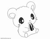 Hamster Coloring Pages Cartoon Sunflower Seed Kids Printable Color sketch template