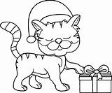 Cat Christmas Coloring Hat Happy Gift Pages Taking Wearing Printable Cats Wecoloringpage Color Sheets Choose Board sketch template