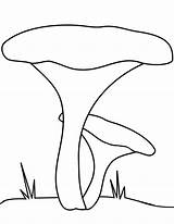 Mushroom Grzyb Kurka Ausmalbild Pilz Kolorowanka Druku Mushrooms Funghi Fungo Pfifferling Zum Disegno Chanterelle sketch template