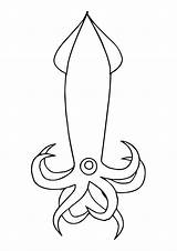 Squid Coloring Pages Vampire Books sketch template