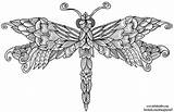 Dragonfly Colouring Welshpixie Coloring Deviantart Drawings Illustration sketch template