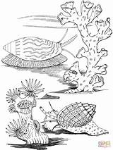 Coloring Pages Sea Ocean Snails Snail Seascape Printable Adult Adults Colouring Book Sheets Color Animals Seaweed sketch template