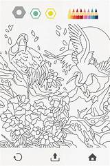 Colorfy sketch template