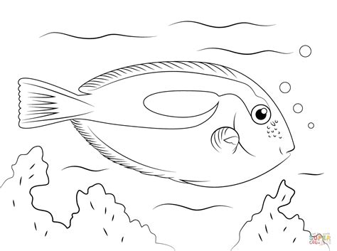 tropical fish coloring pages  printable pictures fish coloring