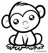 Monkey Coloring Cute Baby Sitting Monkeys Colouring Print Printable Fun sketch template