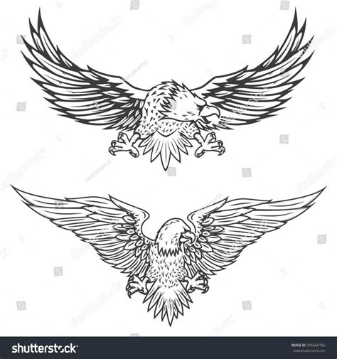 illustration  flying eagle isolated  white background vector