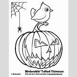 Titmouse Bridled Tufted Designlooter sketch template