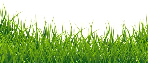 grass vector png image purepng  transparent cc png image library