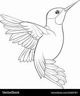 Hummingbird Bookpage sketch template