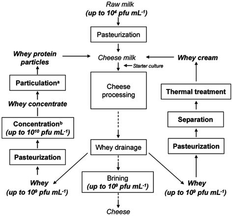 Flow Chart Of A Cheese Making Process In Which Concentrated Whey