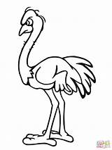 Ostrich Coloring Pages Template Drawing Printable African Kids Print Angry Animal Colouring Templates Clipart Bestcoloringpagesforkids sketch template