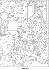 Coloring Dover Publications Haven Creative Book Color Number Doverpublications Pages Animal Cats Books Welcome Toufexis George Cat sketch template