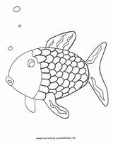 Regenbogenfisch Ausmalbild Coloring Dolphin Pages Fish Aquarium Gifts Simple Vorlage Vorlagen sketch template