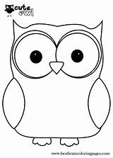 Coloring Owl Pages Preschool Baby Popular Cute sketch template