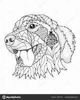 Golden Retriever Zentangle Dog Coloring Illustration Stress Anti Vector Book Adults Stock Stipple Style Kids Pages Adult Depositphotos Dibujos Drawing sketch template