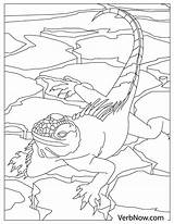Lizard Lizards Verbnow Pdf sketch template