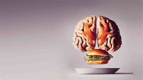 World Brain Day Know How Obesity Affects Brain Health Healthshots