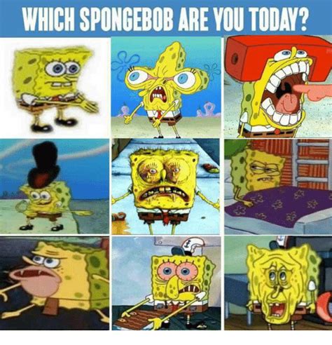 which spongebob are you today spongebob meme on me me