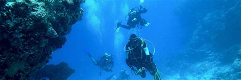 discover scuba diving   dubai trip book