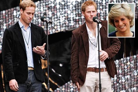 princes william and harry rule out tribute concert for 20th anniversary