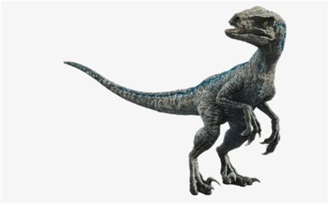 Real Velociraptor V S Jurassic World Science Amino