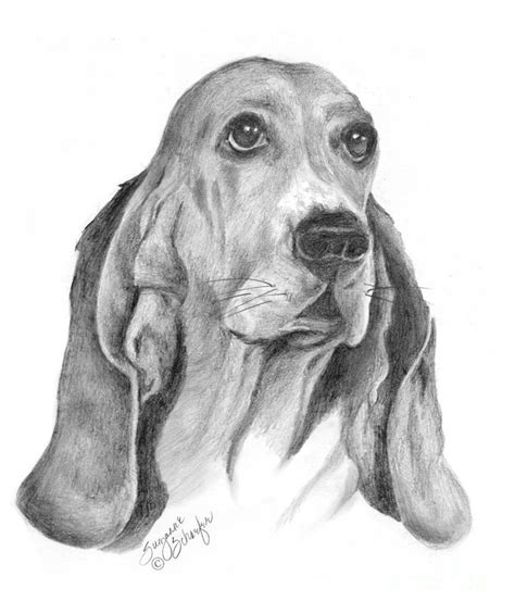 hound drawing  paintingvalleycom explore collection  hound drawing