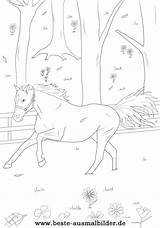 Pferd Ausmalbild Pferde Ausmalen Fohlen Malvorlage Pony Ostwind Wiese Einem Colouring Rennt sketch template