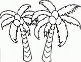 Cocotier Cocotero Kelapa Colorear Getdrawings Pokok sketch template