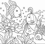 Coloring Pages Discus Color Animal Ocean Sheets Fish Adults Printable Colorear Print Back Kids sketch template