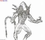 Predalien Xenomorph Predador Salvo sketch template
