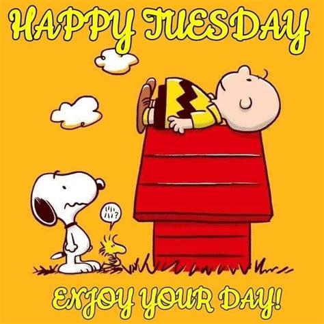 snoopy tuesday quotes good morning motivational quotes